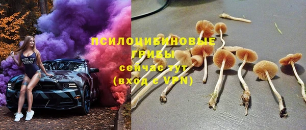 дурь Гусиноозёрск